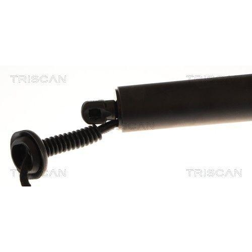 TRISCAN Gasfeder, Koffer-/Laderaum 8710 23320