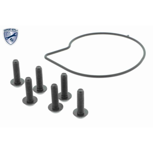 VAICO Wasserpumpe, Motork&uuml;hlung EXPERT KITS + V95-50014