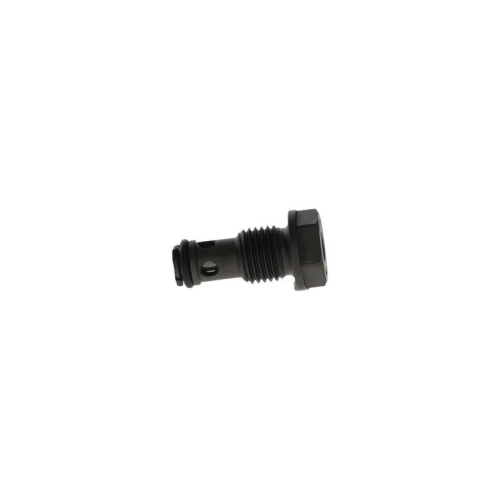 BOSCH Ventil, Einspritzanlage F 00N 203 165