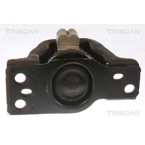 TRISCAN Lagerung, Motor 8505 14100