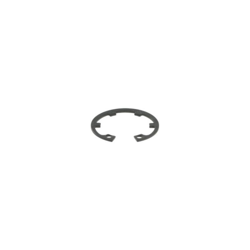 BOSCH Dichtring F 00R 0P0 820