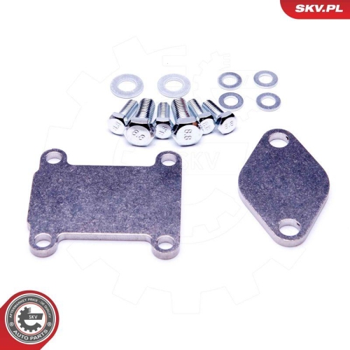 ESEN SKV Reparatursatz, AGR-Ventil 14SKV502