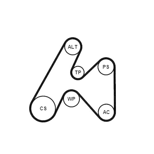 CONTINENTAL CTAM Keilrippenriemensatz 6PK1660K3