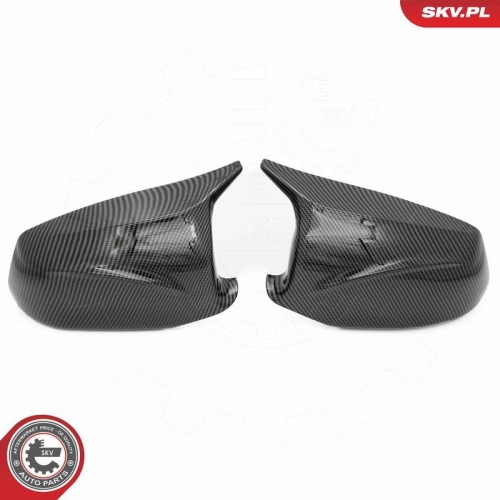 ESEN SKV Abdeckung, Außenspiegel