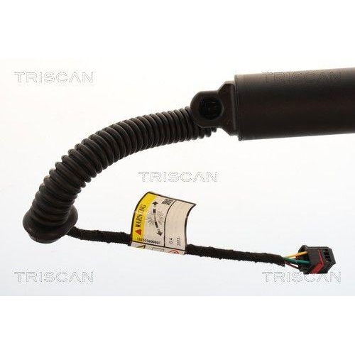 TRISCAN Gasfeder, Koffer-/Laderaum 8710 29343