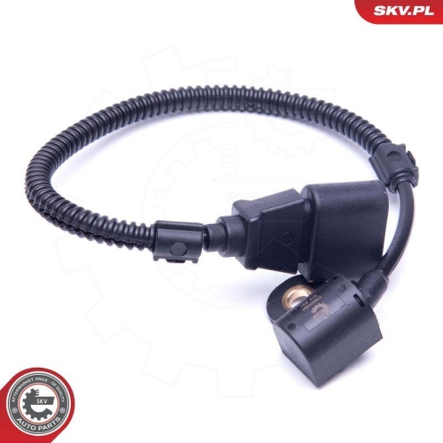 ESEN SKV Lenkwinkelsensor 17SKV484