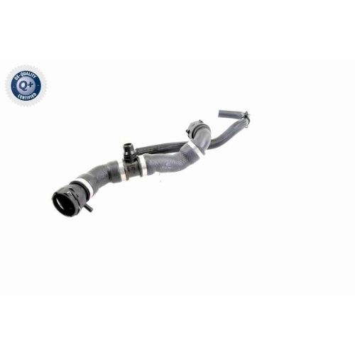 VAICO Kühlerschlauch Q+, Erstausrüsterqualität V20-2421