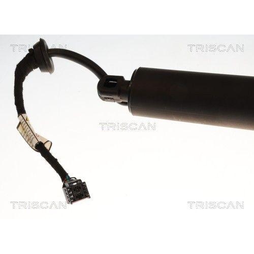 TRISCAN Gasfeder, Koffer-/Laderaum 8710 29335