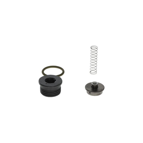 BOSCH Reparatursatz, Common-Rail-System F 00N 201 001
