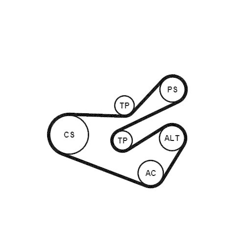 CONTINENTAL CTAM Keilrippenriemensatz 6PK1740K3
