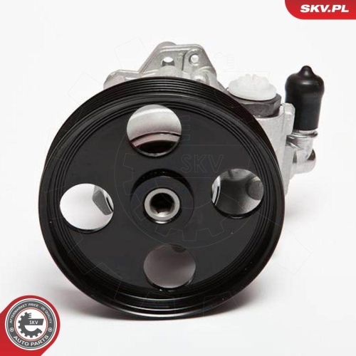 ESEN SKV Hydraulikpumpe, Lenkung 10SKV004