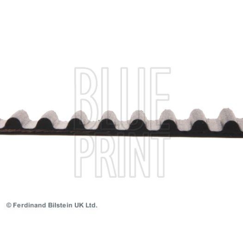 BLUE PRINT Zahnriemen ADN17519