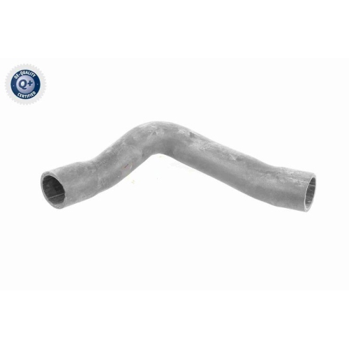 VAICO Ladeluftschlauch Q+, Erstausrüsterqualität V10-2909