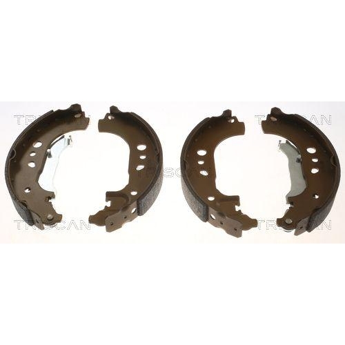 TRISCAN Bremsbackensatz 8100 29531