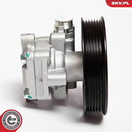 ESEN SKV Hydraulikpumpe, Lenkung 10SKV006