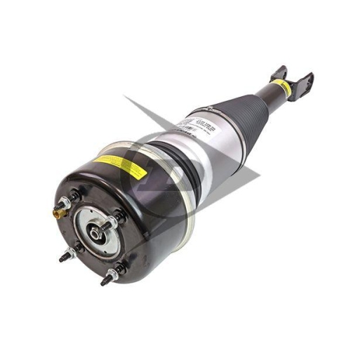 Dunlop Airsuspension Luftfederbein Dunlop Original Ersatzteil 71117