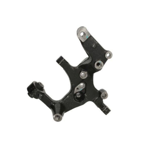 REINHOCH Achsschenkel, Radaufhängung RH08-0048