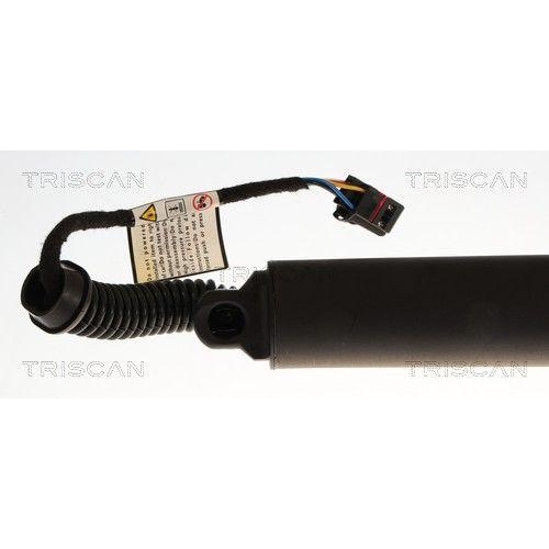 TRISCAN Gasfeder, Koffer-/Laderaum 8710 29329