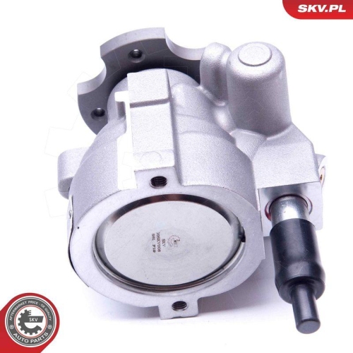 ESEN SKV Hydraulikpumpe, Lenkung 10SKV008