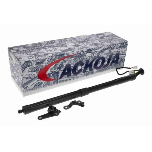 ACKOJA Elektromotor, Heckklappe Green Mobility Parts A70-55-0001