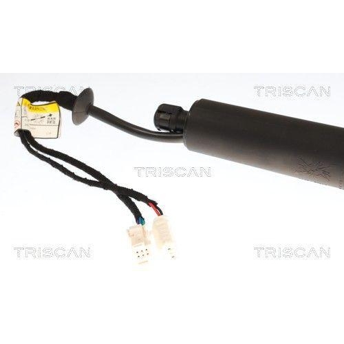 TRISCAN Gasfeder, Koffer-/Laderaum 8710 28303