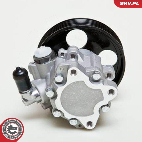 ESEN SKV Hydraulikpumpe, Lenkung 10SKV009