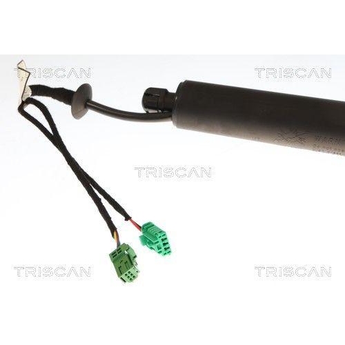 TRISCAN Gasfeder, Koffer-/Laderaum 8710 28304