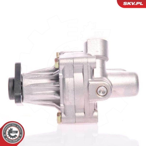 ESEN SKV Hydraulikpumpe, Lenkung 10SKV011