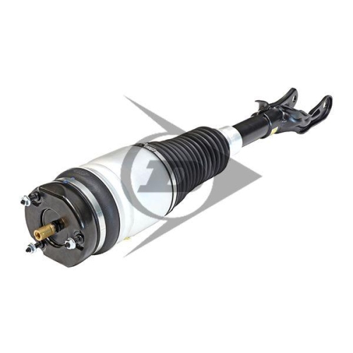 Dunlop Airsuspension Luftfederbein Dunlop Original Ersatzteil 71120