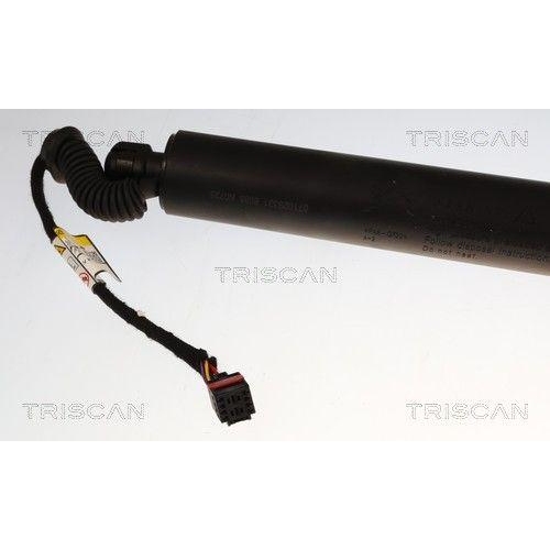 TRISCAN Gasfeder, Koffer-/Laderaum 8710 29331