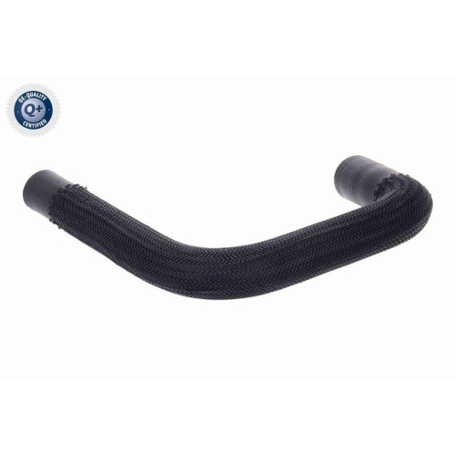 VAICO K&uuml;hlerschlauch Q+, Erstausr&uuml;sterqualit&auml;t V22-1157