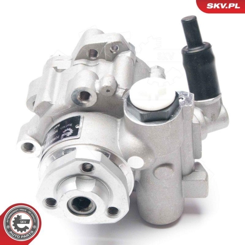 ESEN SKV Hydraulikpumpe, Lenkung 10SKV016