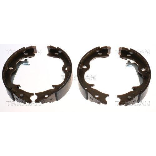 TRISCAN Bremsbackensatz, Feststellbremse 8100 43029