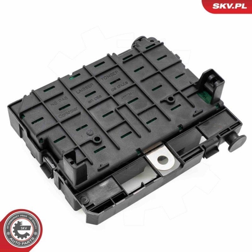 ESEN SKV Steuerger&auml;t, Motormanagement 96SKV321