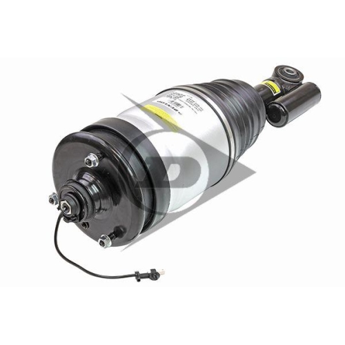 Dunlop Airsuspension Luftfederbein Dunlop Original Ersatzteil 71142