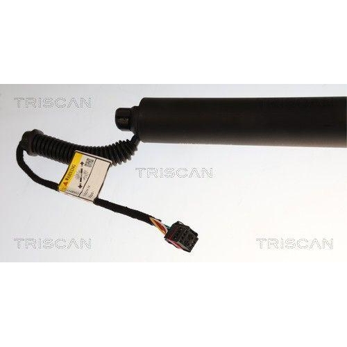 TRISCAN Gasfeder, Koffer-/Laderaum 8710 29339