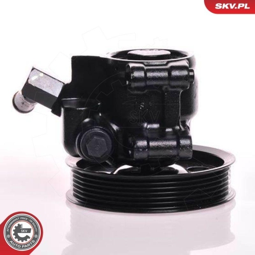 ESEN SKV Hydraulikpumpe, Lenkung 10SKV019