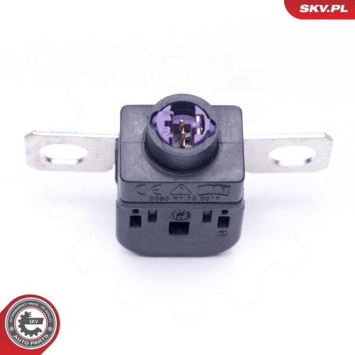 ESEN SKV &Uuml;berspannungsschutzger&auml;t, Generator 96SKV300