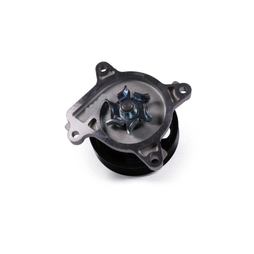 HEPU Wasserpumpe, Motork&uuml;hlung P7423