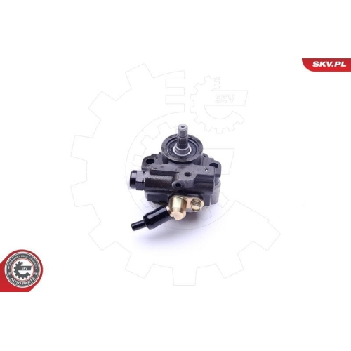 ESEN SKV Hydraulikpumpe, Lenkung