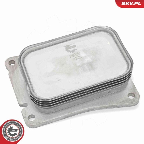 ESEN SKV Ölkühler, Motoröl