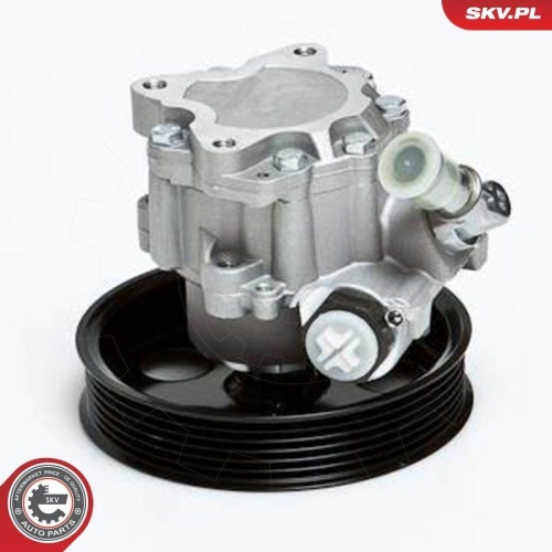 ESEN SKV Hydraulikpumpe, Lenkung 10SKV022
