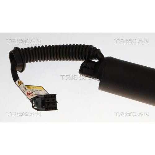 TRISCAN Gasfeder, Koffer-/Laderaum 8710 43319
