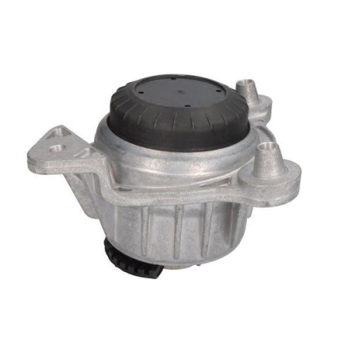REINHOCH Lagerung, Motor RH11-3120