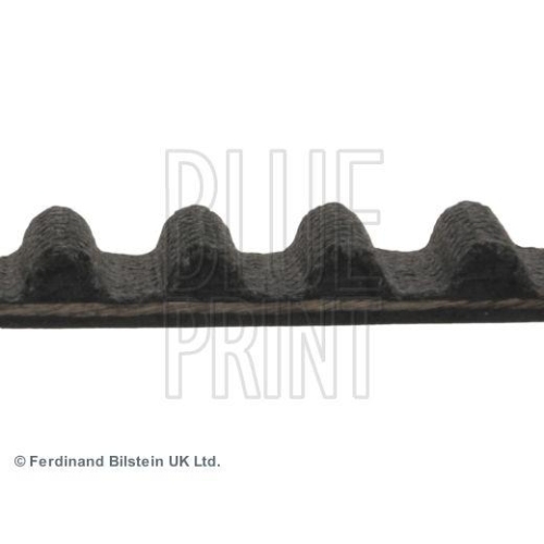 BLUE PRINT Zahnriemen