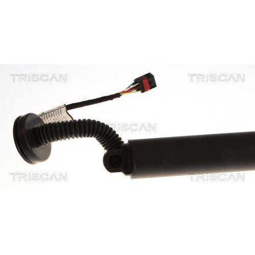TRISCAN Gasfeder, Koffer-/Laderaum 8710 27316