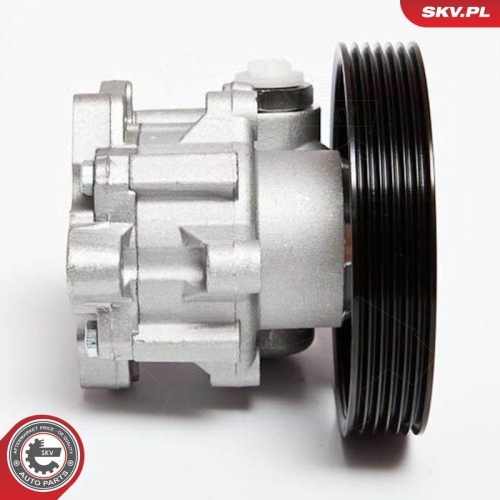 ESEN SKV Hydraulikpumpe, Lenkung 10SKV023