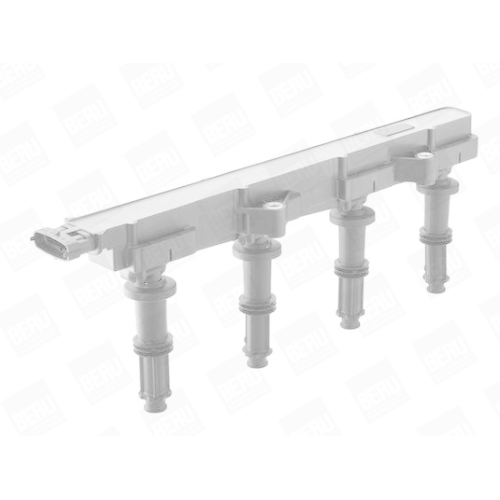 BorgWarner (BERU) Z&uuml;ndspule ZSE149