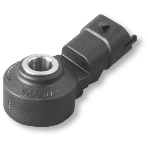 BOSCH Klopfsensor 0 261 231 173