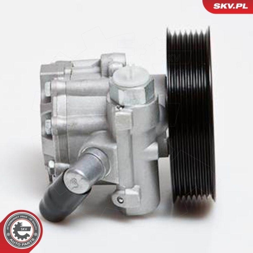 ESEN SKV Hydraulikpumpe, Lenkung 10SKV024